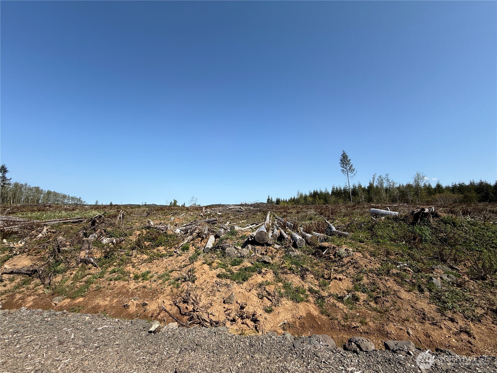 7 xx Centralia Alpha Road