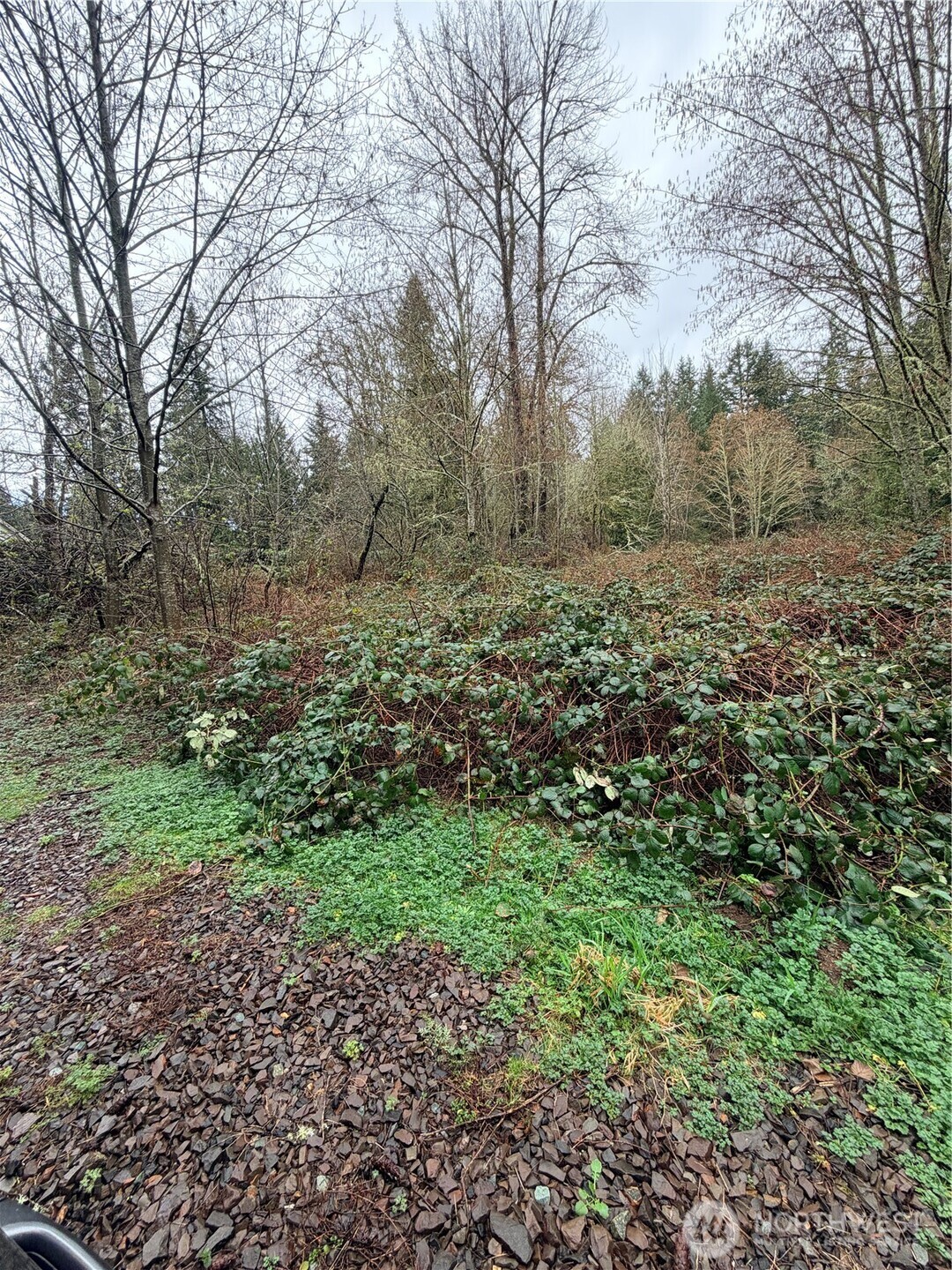 0 xxxx 238th Avenue NE