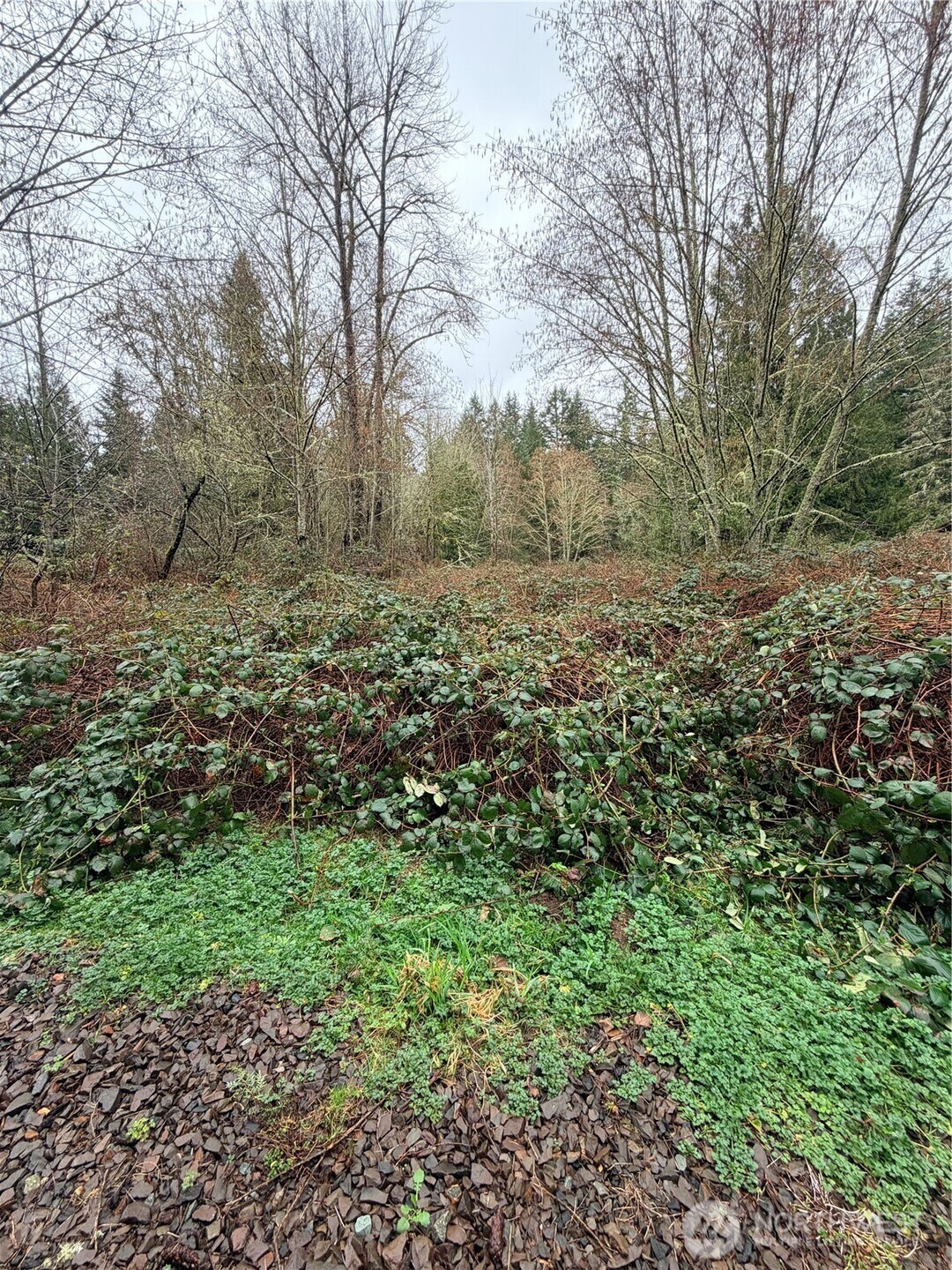 0 xxxx 238th Avenue NE