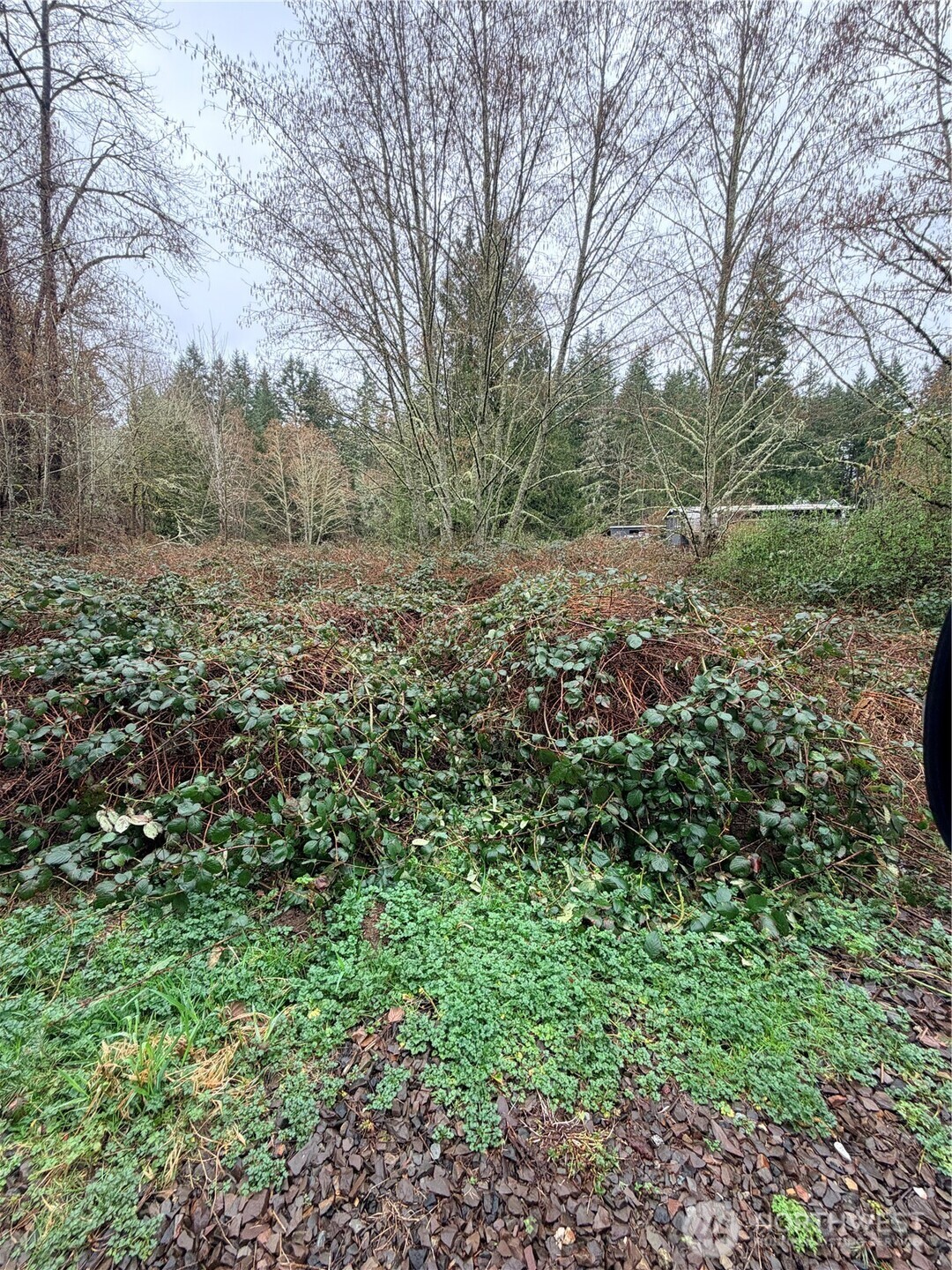 0 xxxx 238th Avenue NE
