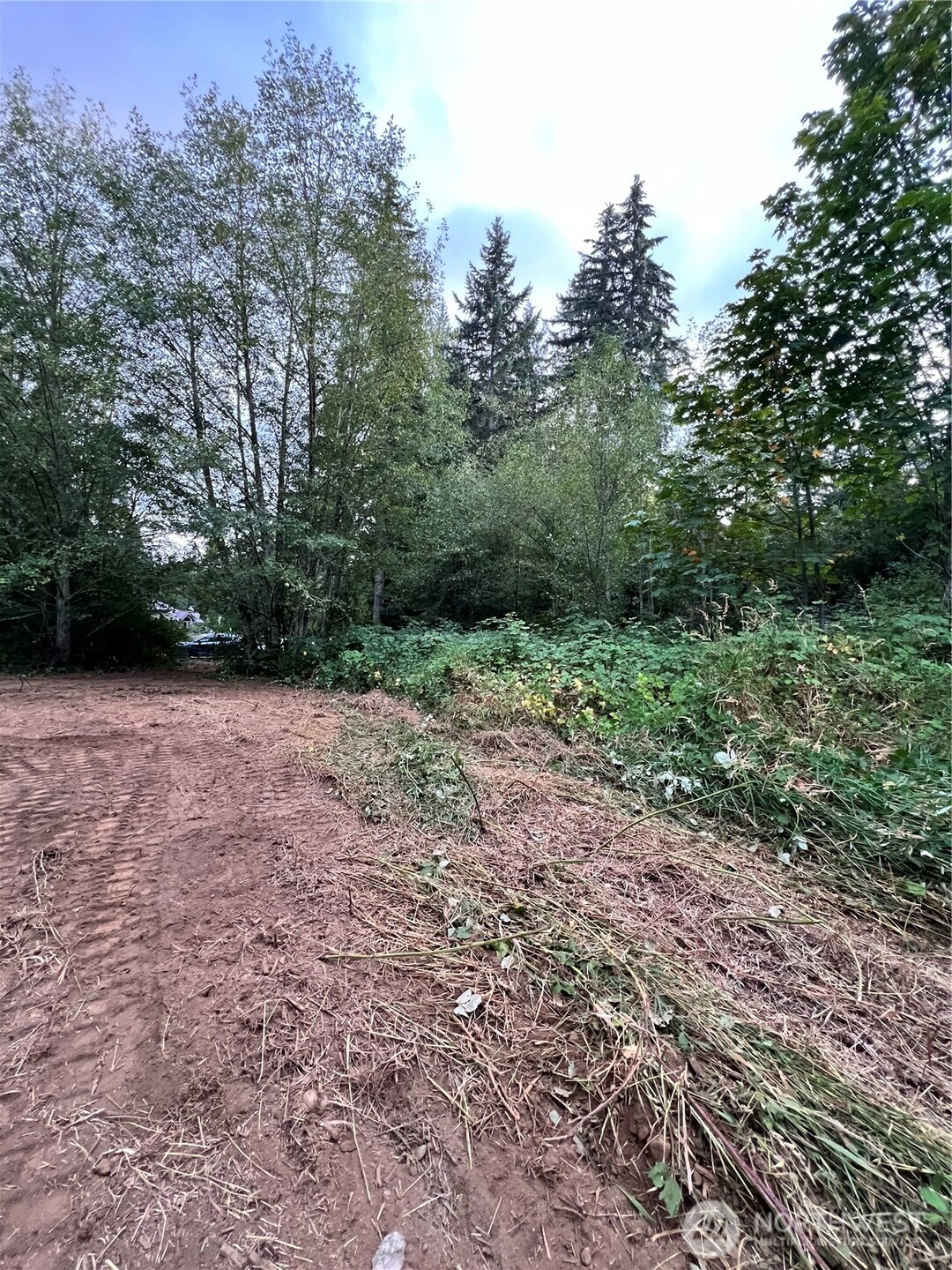 0 xxxx 238th Avenue NE