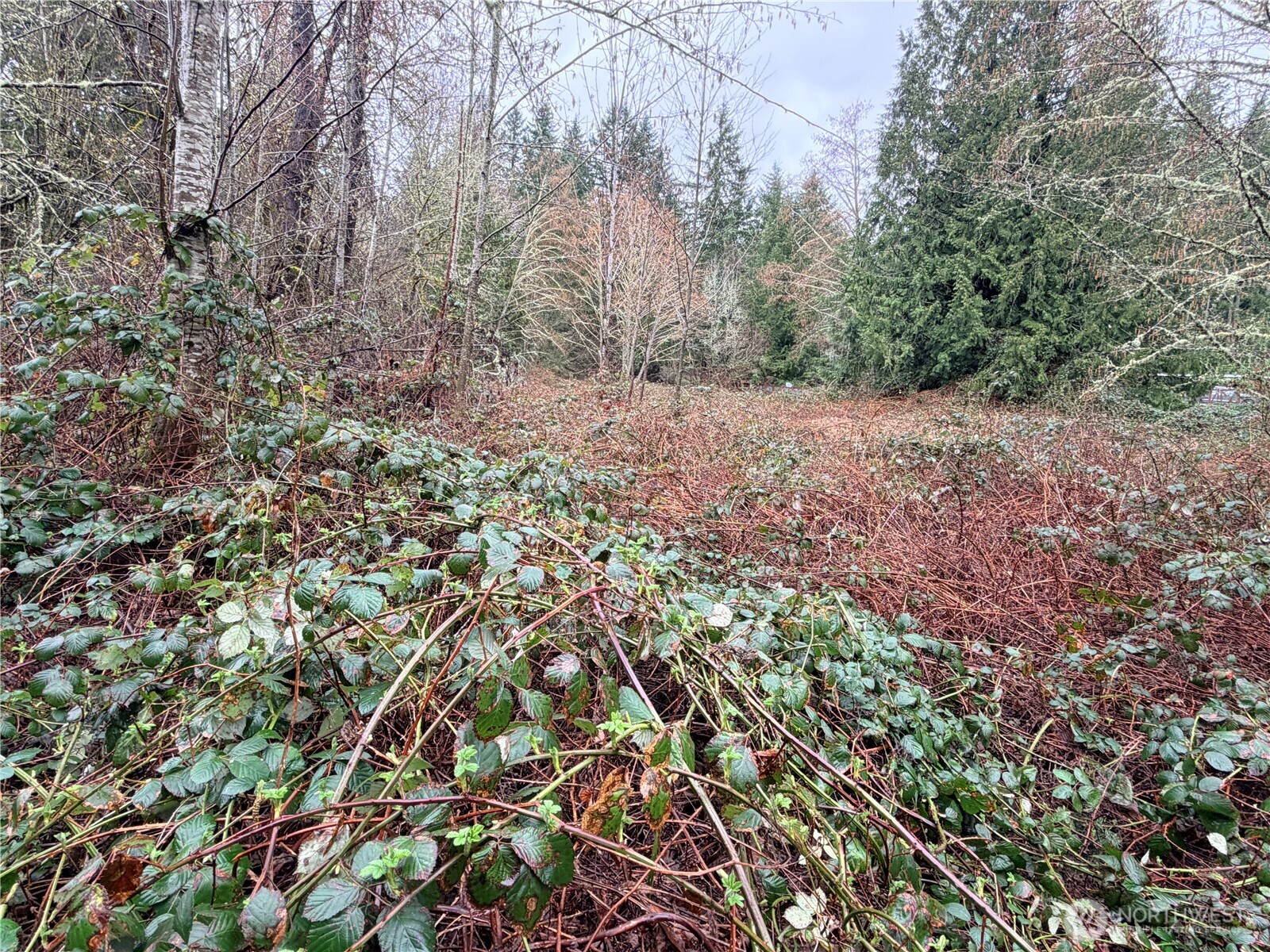 0 xxxx 238th Avenue NE