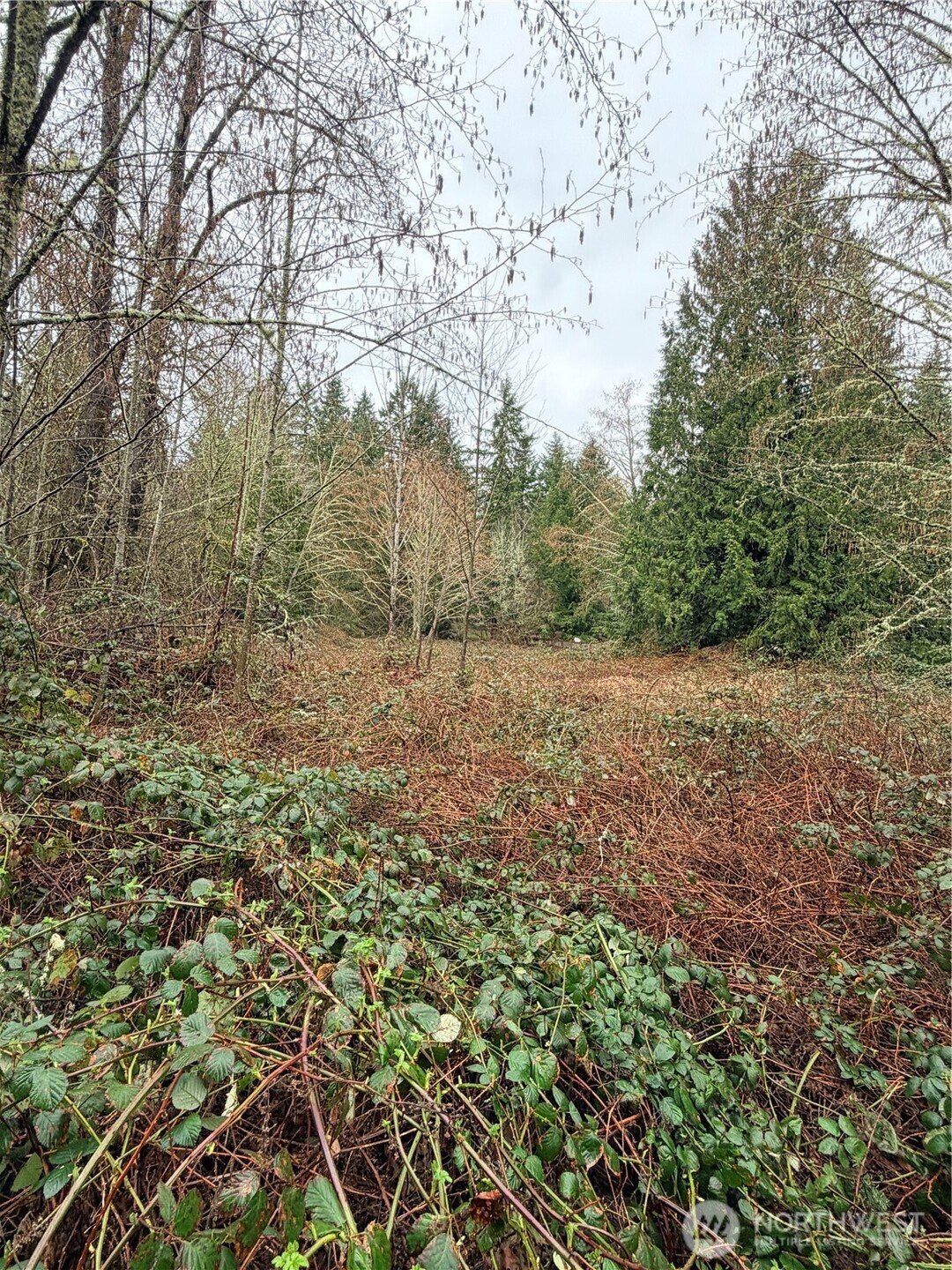 0 xxxx 238th Avenue NE