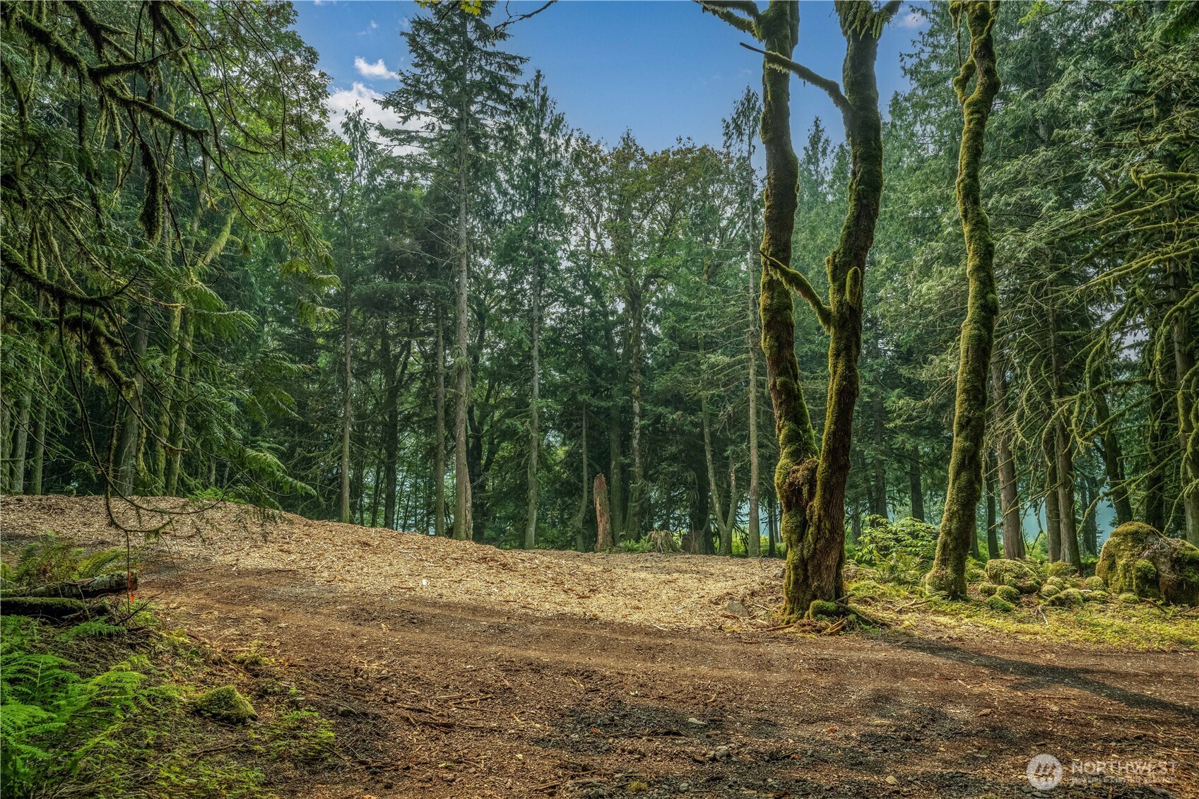 9267 Upper Frost Creek Road