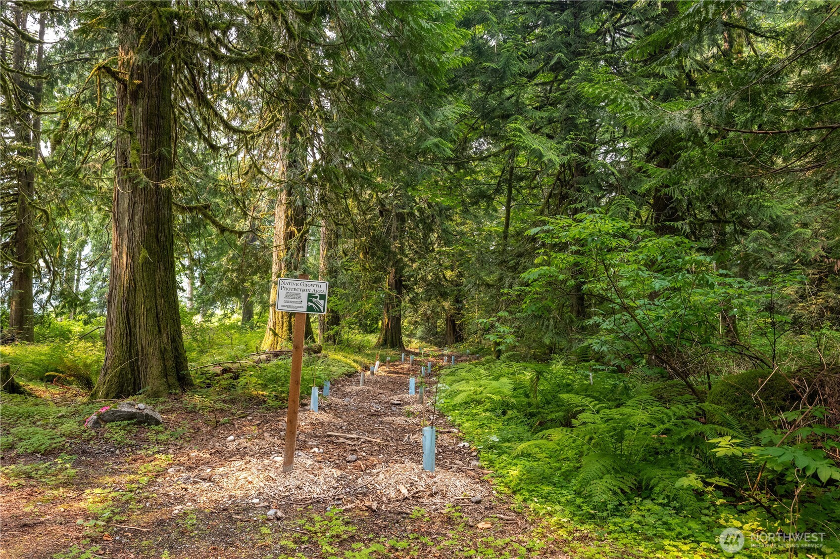 9267 Upper Frost Creek Road