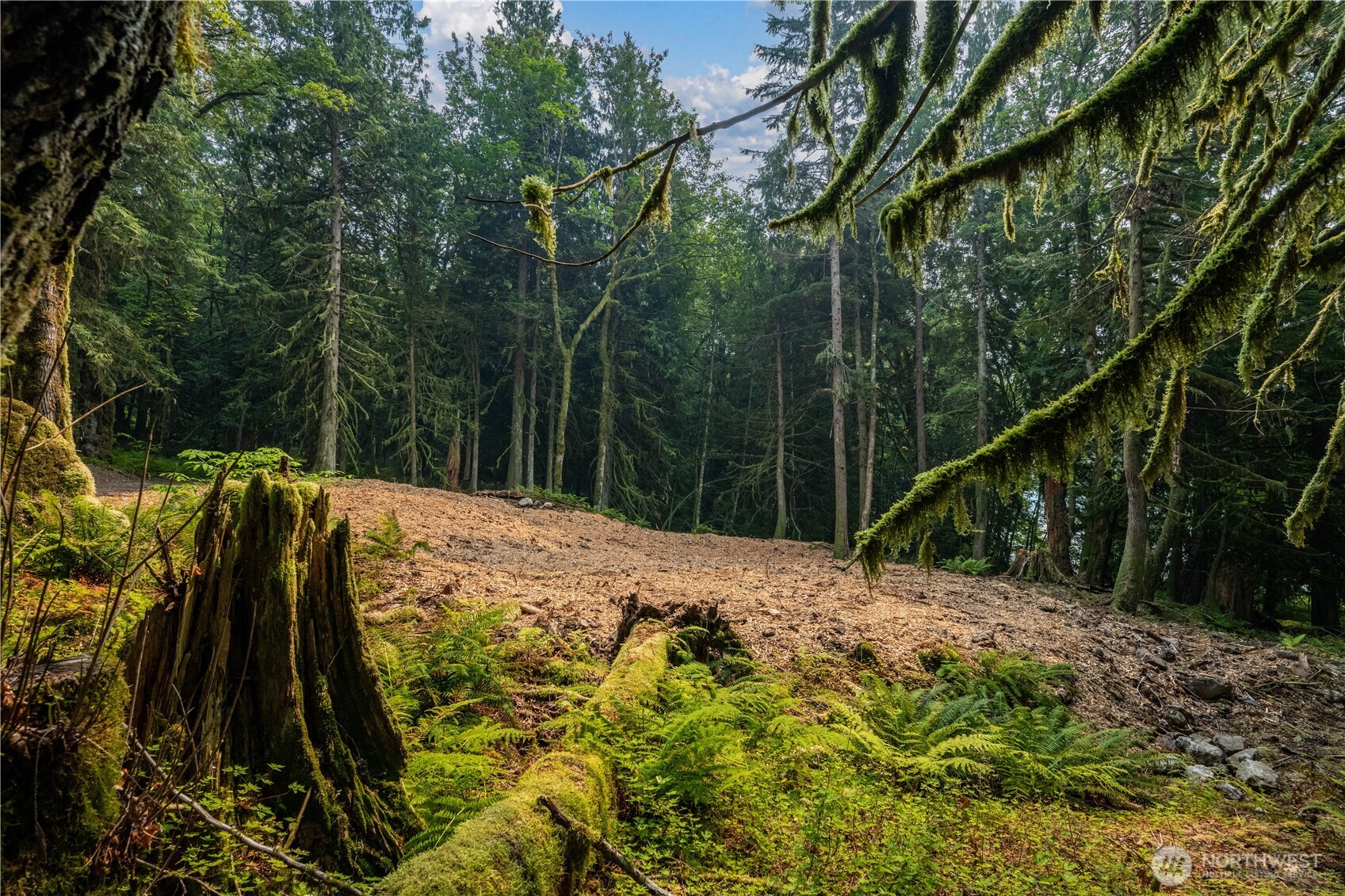 9267 Upper Frost Creek Road