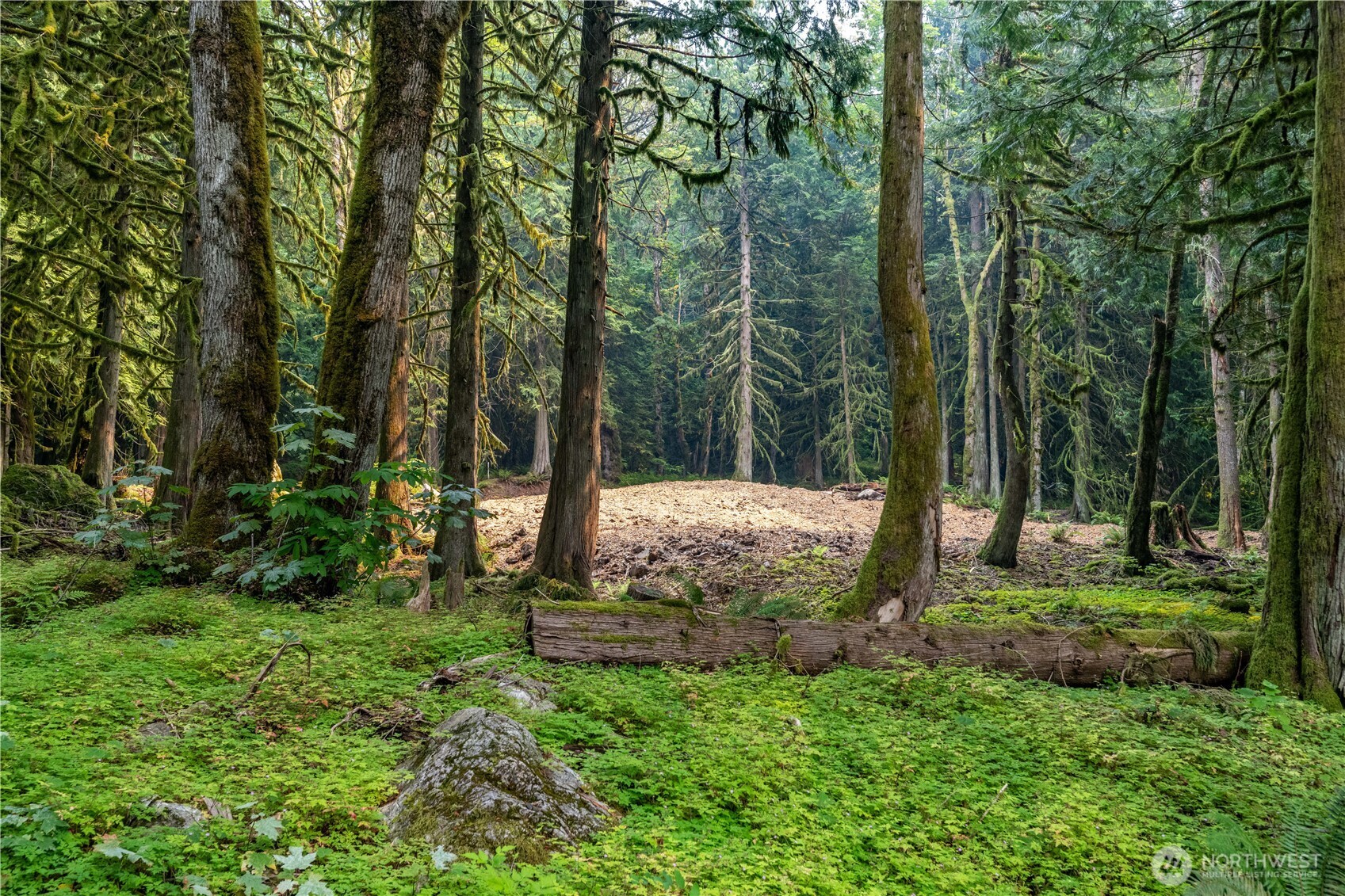 9267 Upper Frost Creek Road