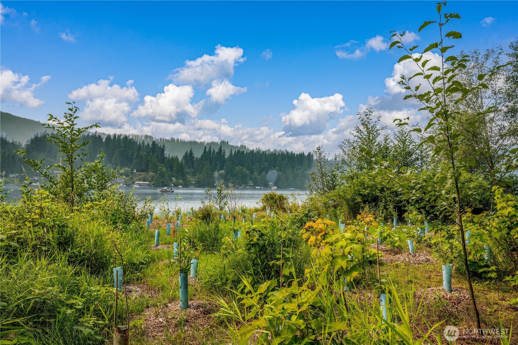 9267 Upper Frost Creek Road