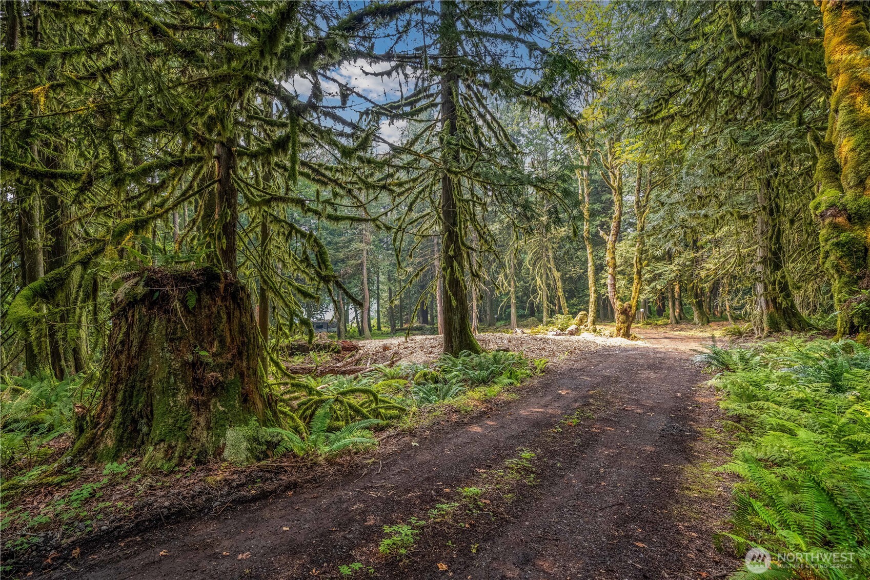 9267 Upper Frost Creek Road