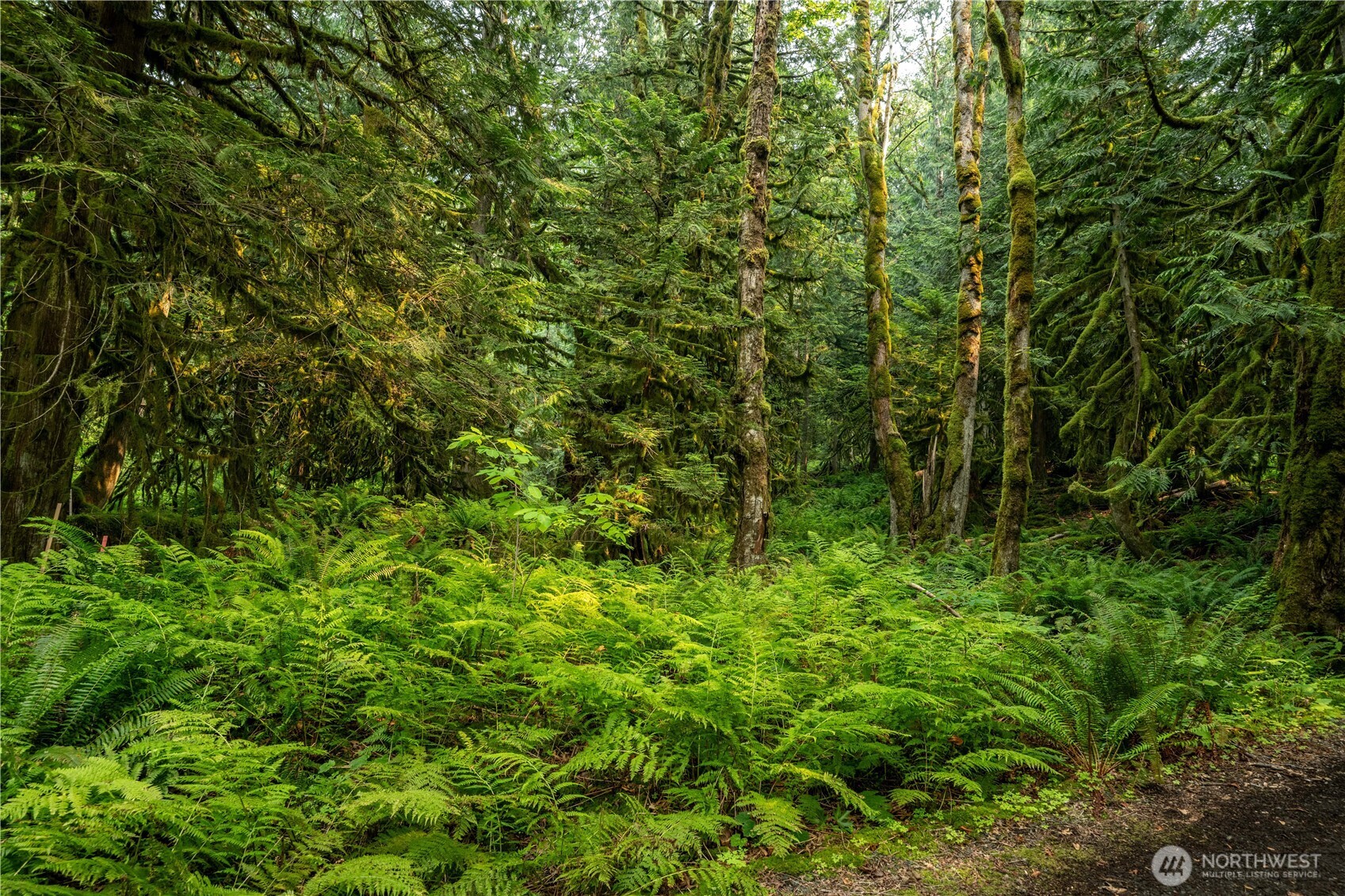 9267 Upper Frost Creek Road