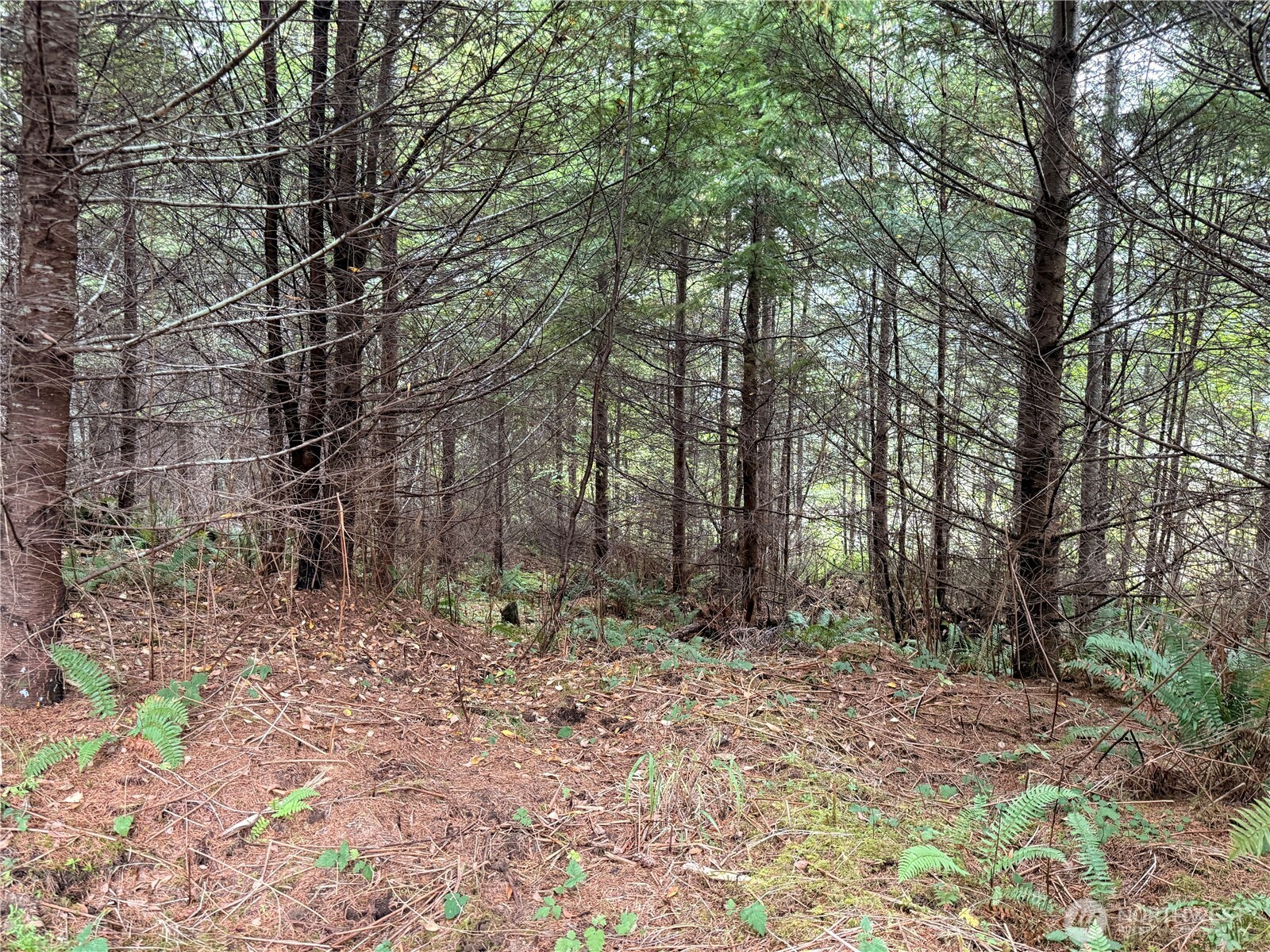 19 xx Bunker Creek Road