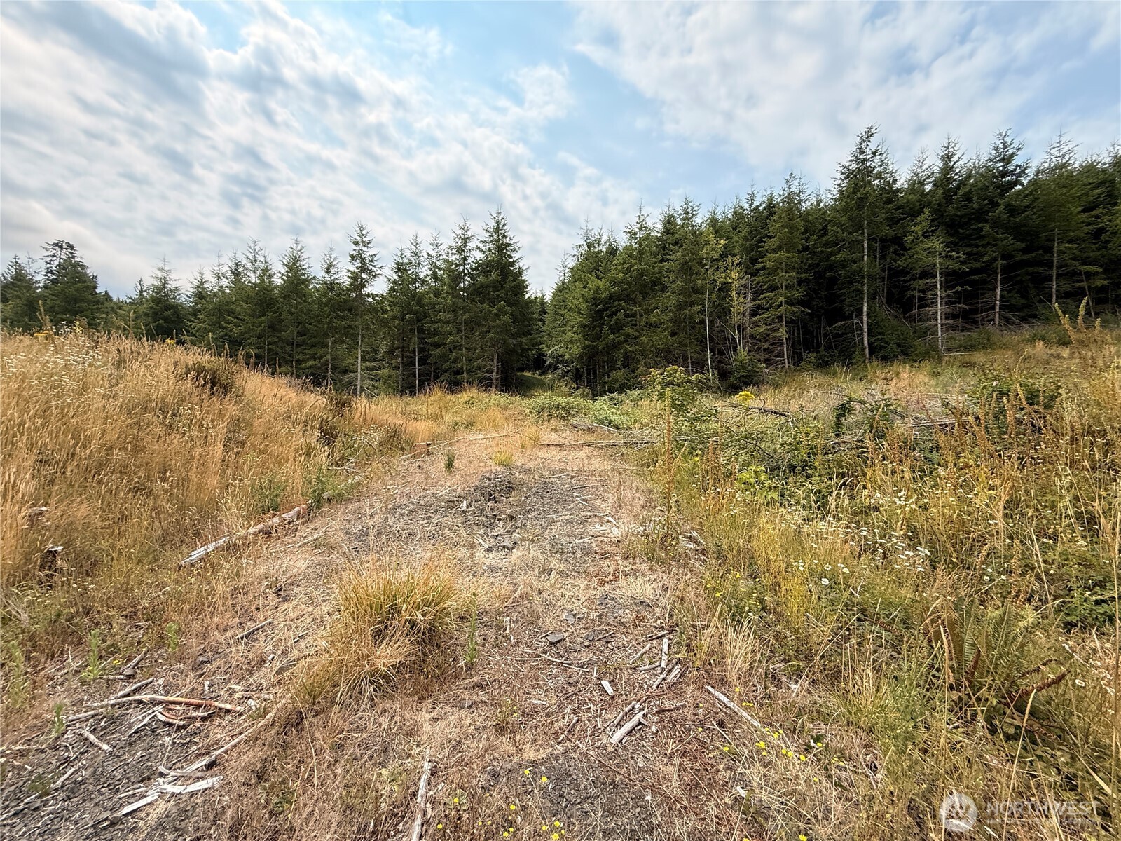 19 xx Bunker Creek Road
