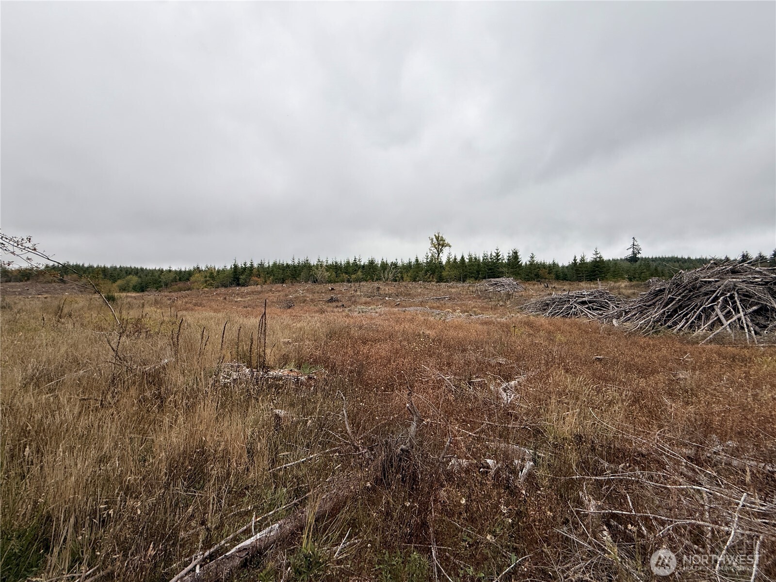 19 xx Bunker Creek Road