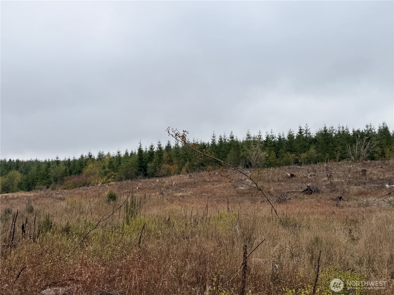 19 xx Bunker Creek Road