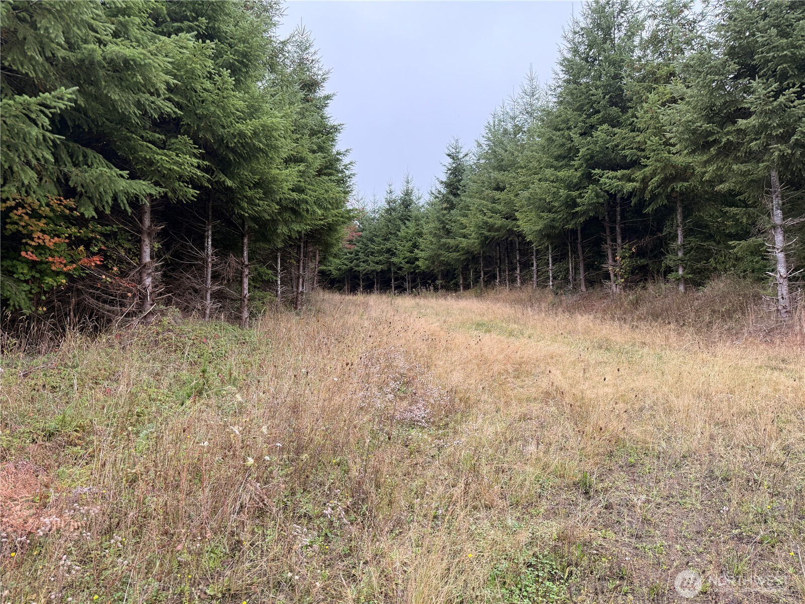 19 xx Bunker Creek Road