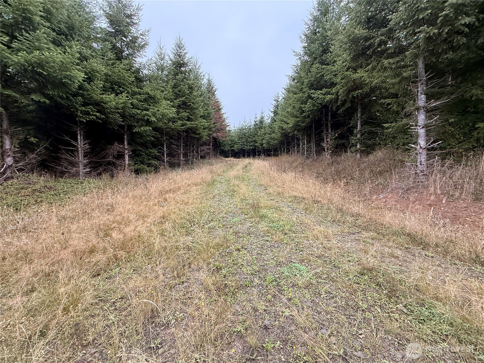 19 xx Bunker Creek Road