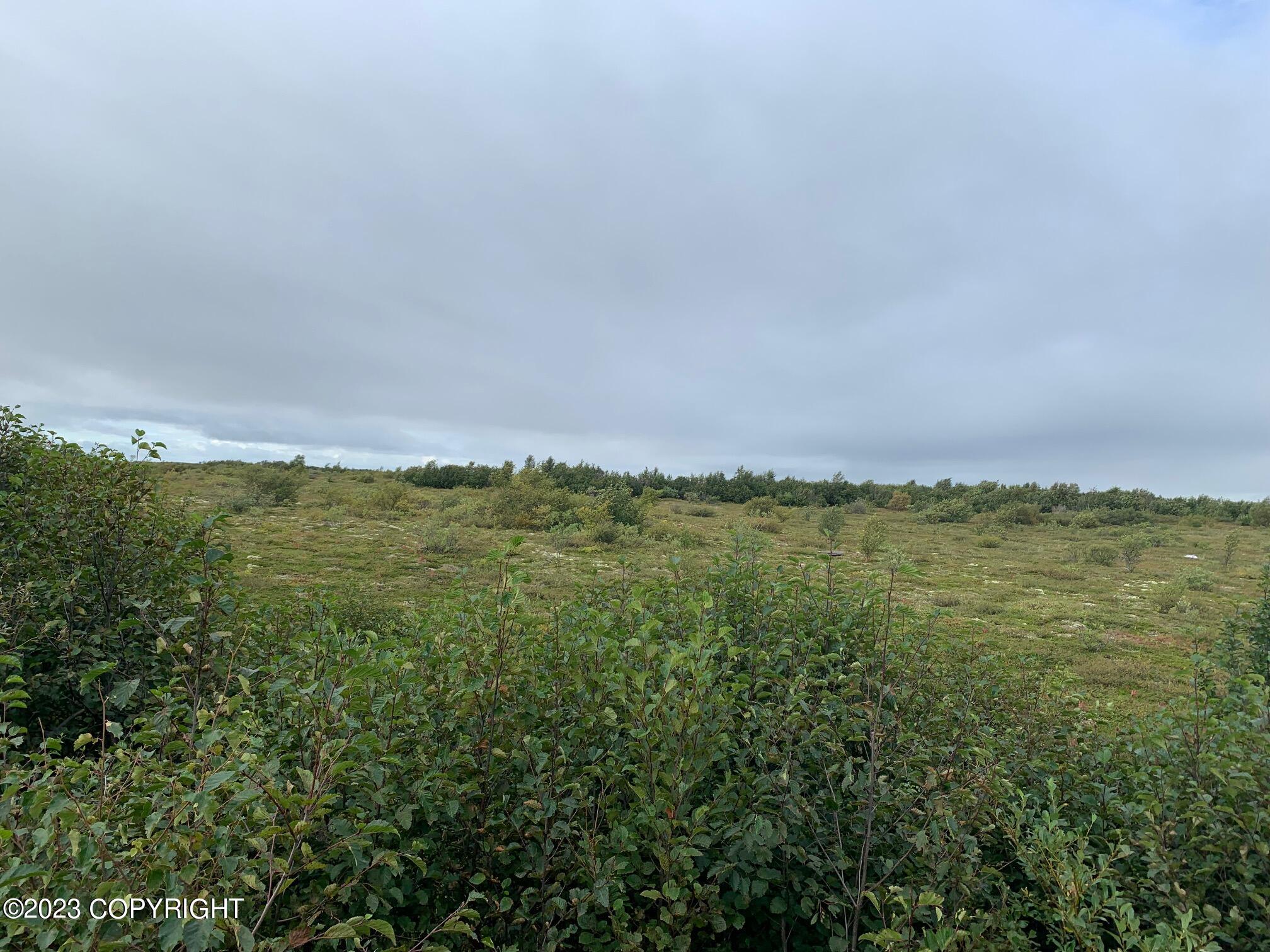 L8 B2 'B' Williams Subdivision