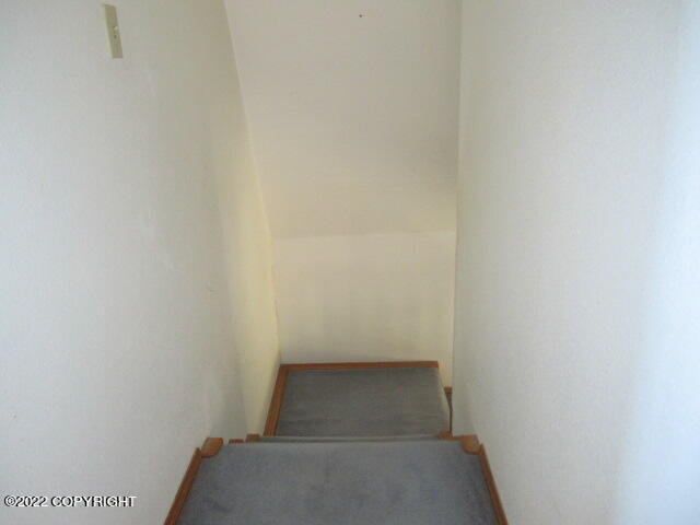 652 Ptarmigan Street