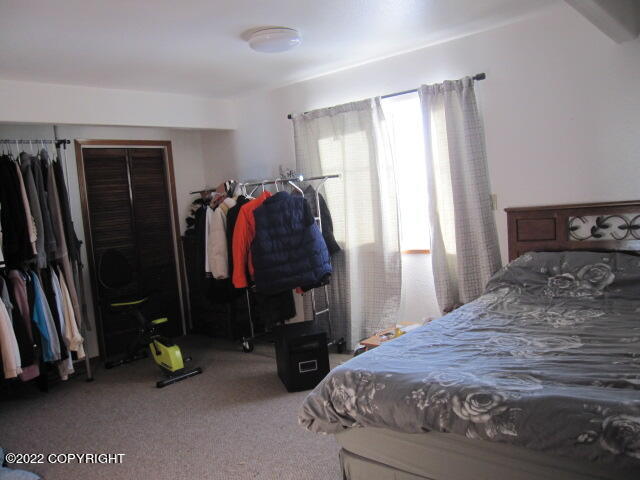 652 Ptarmigan Street