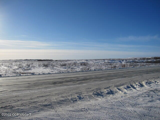 652 Ptarmigan Street