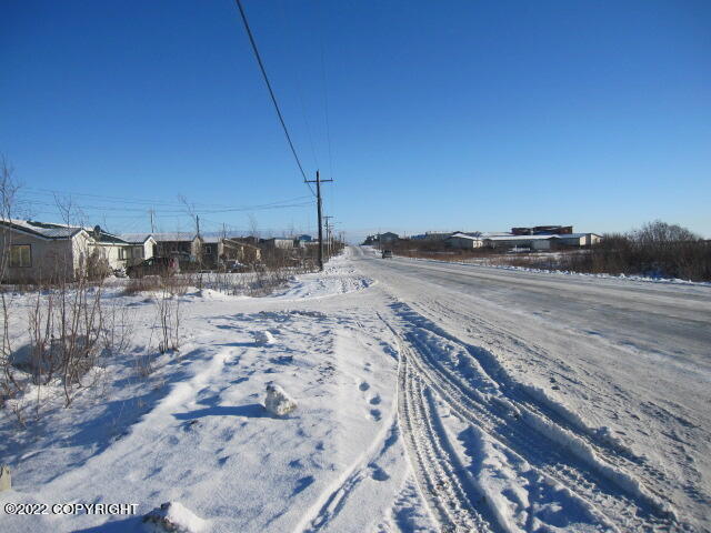 652 Ptarmigan Street