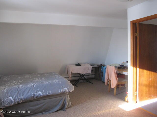 652 Ptarmigan Street