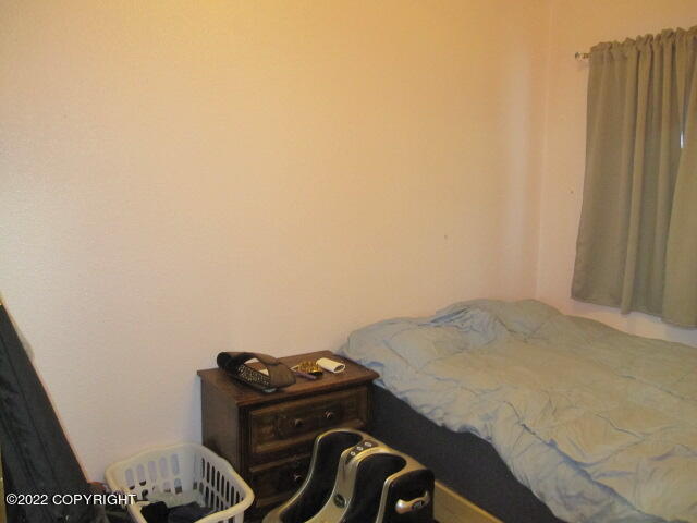 652 Ptarmigan Street