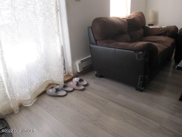 652 Ptarmigan Street