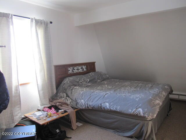 652 Ptarmigan Street