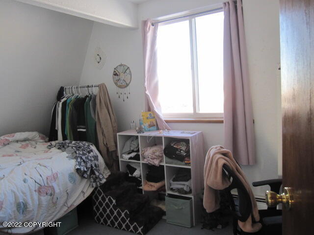 652 Ptarmigan Street