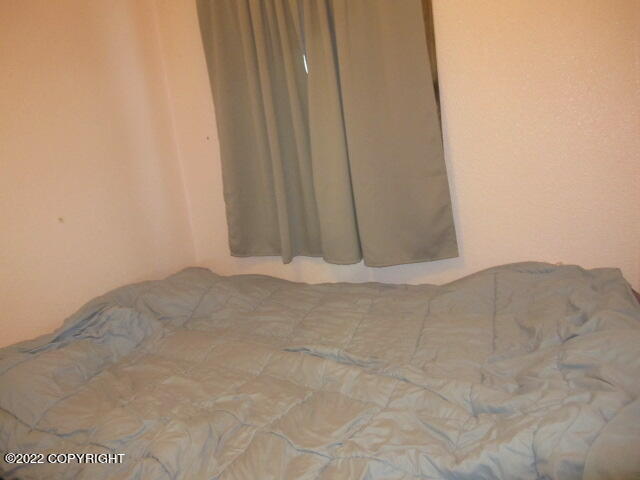 652 Ptarmigan Street