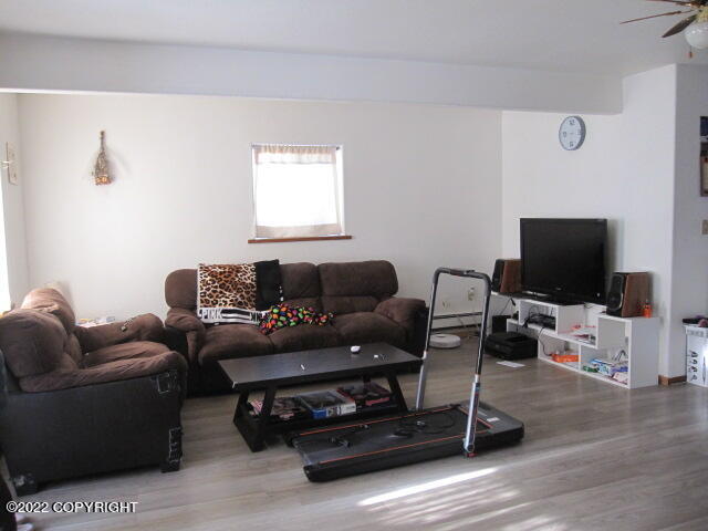 652 Ptarmigan Street