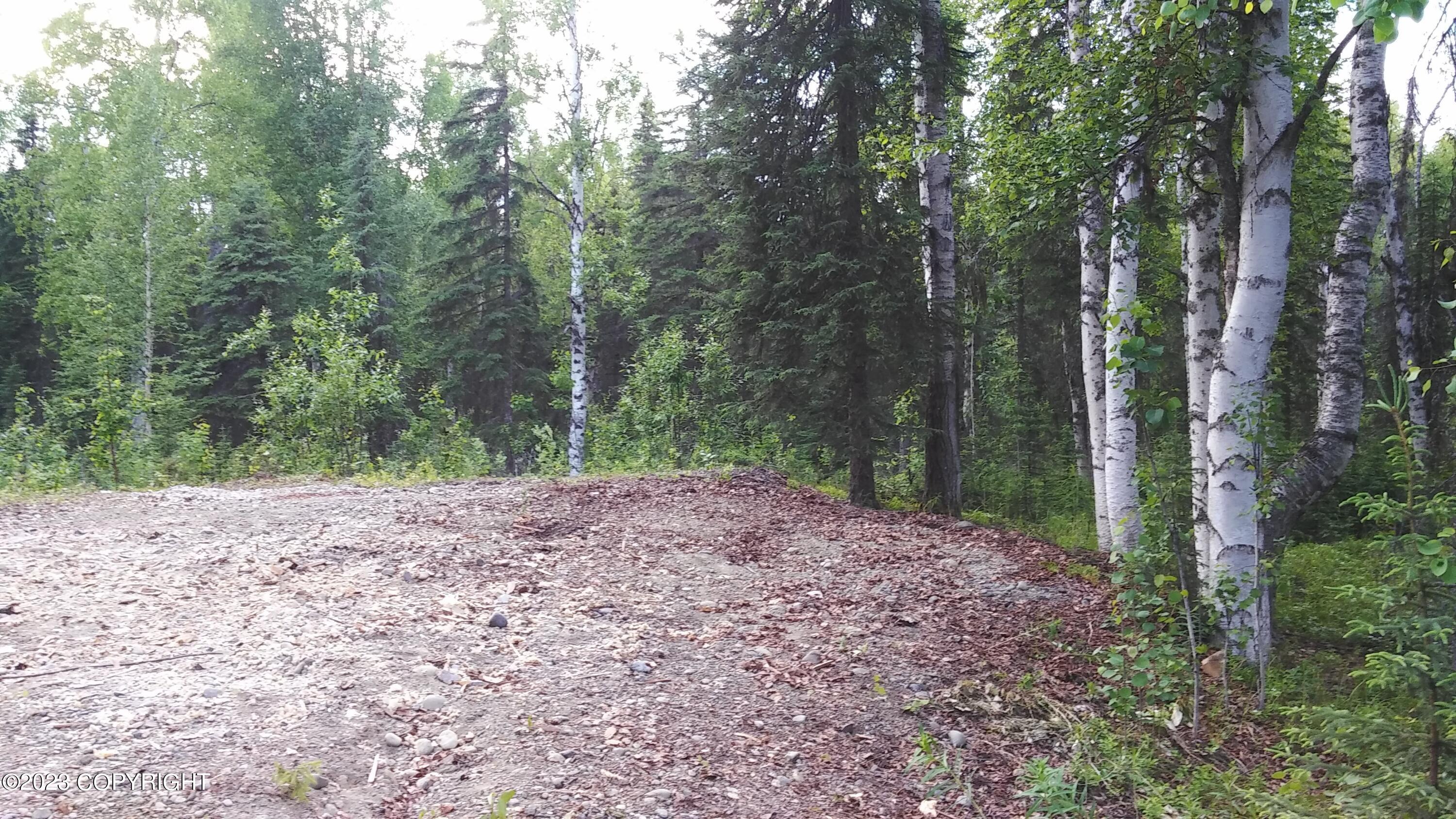 68342 S Parks Highway