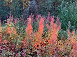 17450 Toakoana Drive