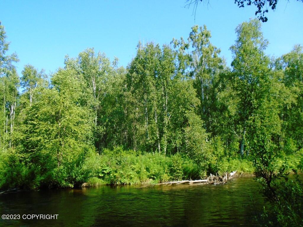 Tr C Mi 9 S Parks Highway