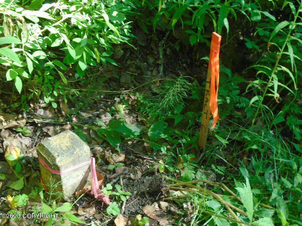 Tr C Mi 9 S Parks Highway