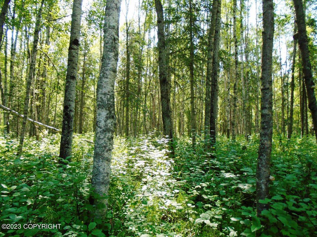 Tr C Mi 9 S Parks Highway