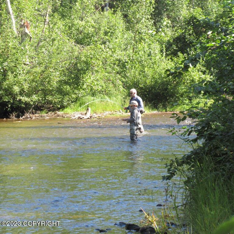 Tr C Mi 9 S Parks Highway