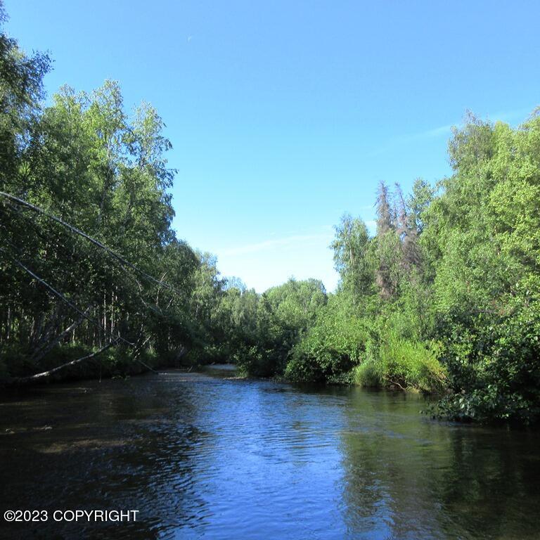 Tr C Mi 9 S Parks Highway