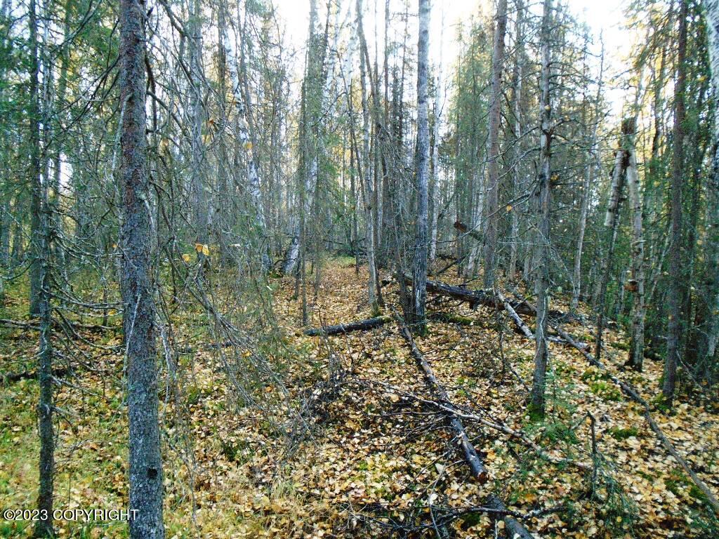 Tr H Mi 93 S Parks Highway