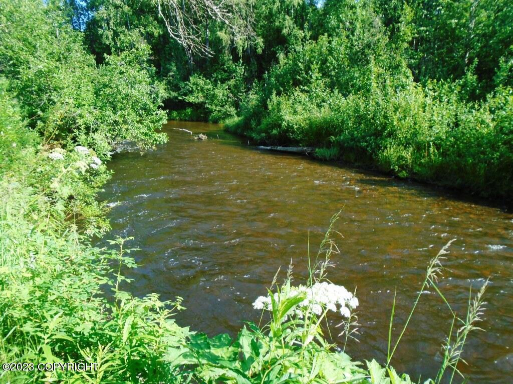 Tr H Mi 93 S Parks Highway