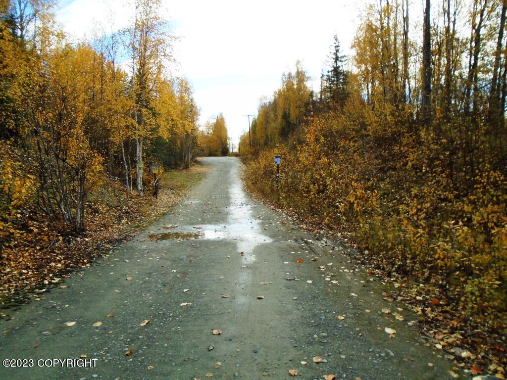 Tr H Mi 93 S Parks Highway