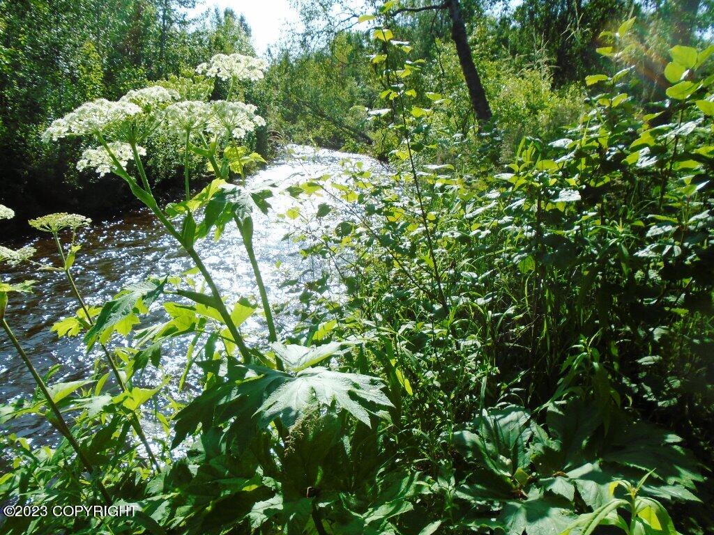 Tr H Mi 93 S Parks Highway