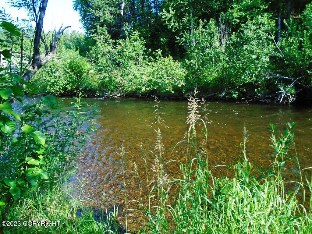 Tr H Mi 93 S Parks Highway