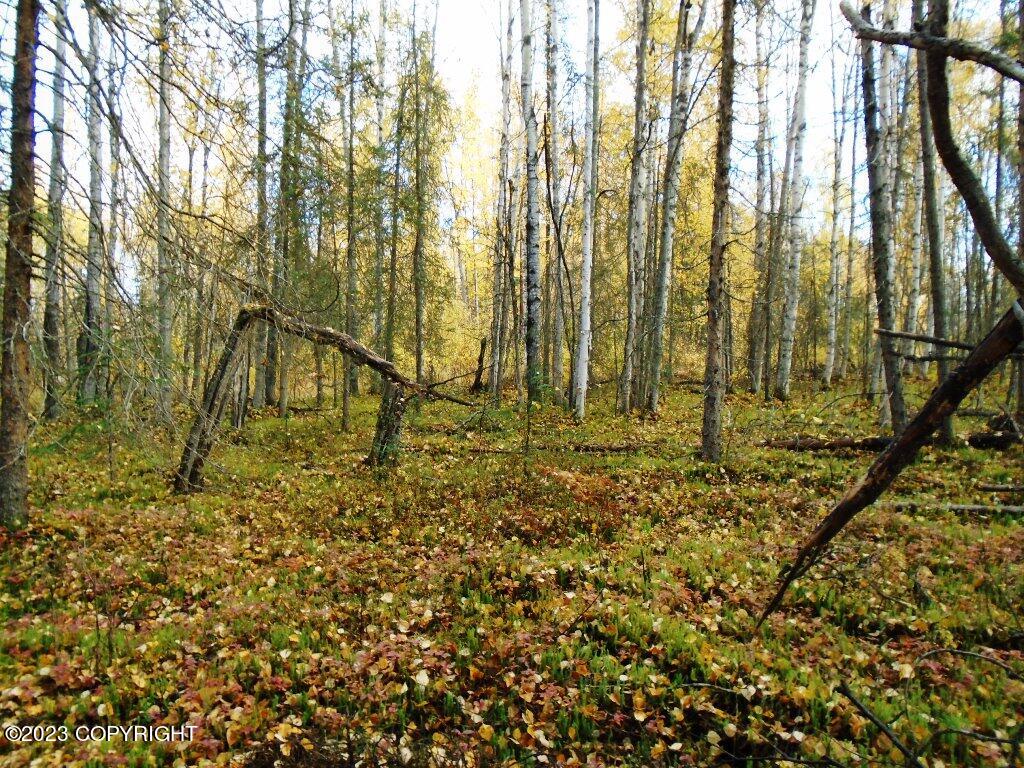 Tr H Mi 93 S Parks Highway