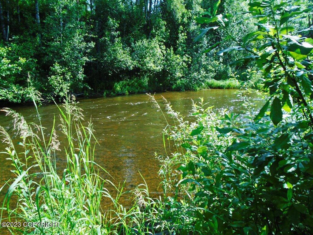 Tr H Mi 93 S Parks Highway