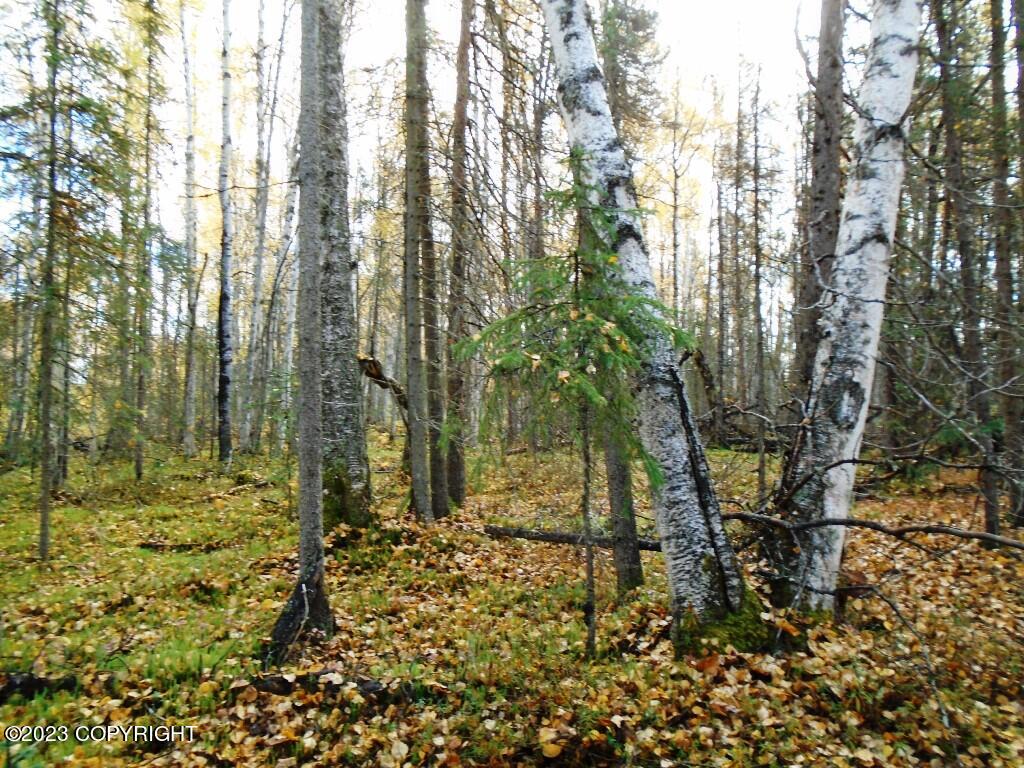 Tr H Mi 93 S Parks Highway