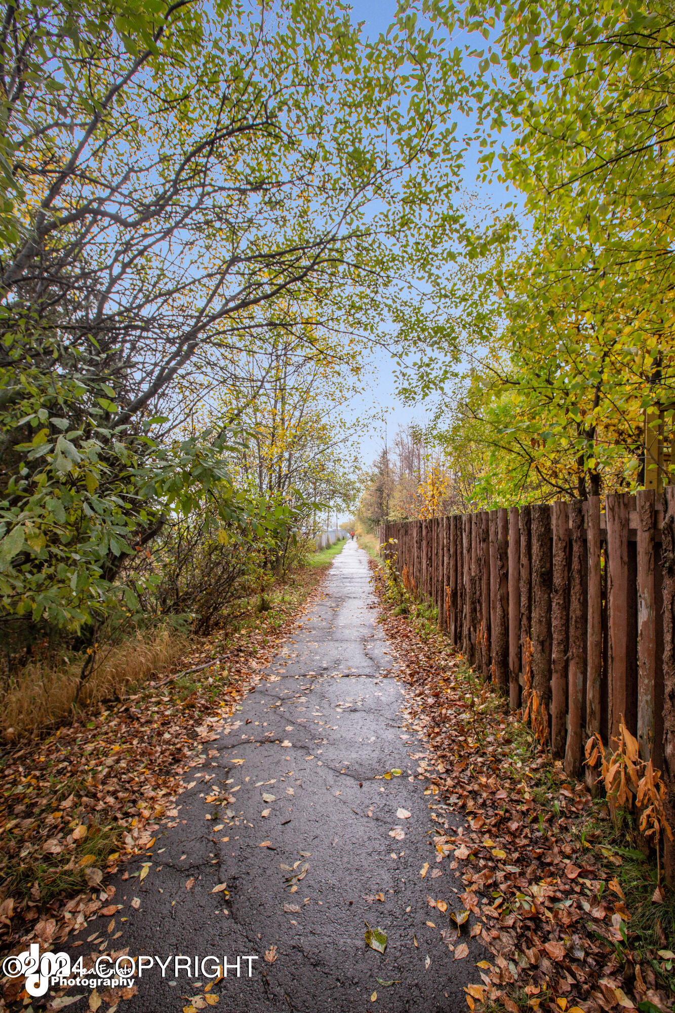 11743 Birch Knoll Loop