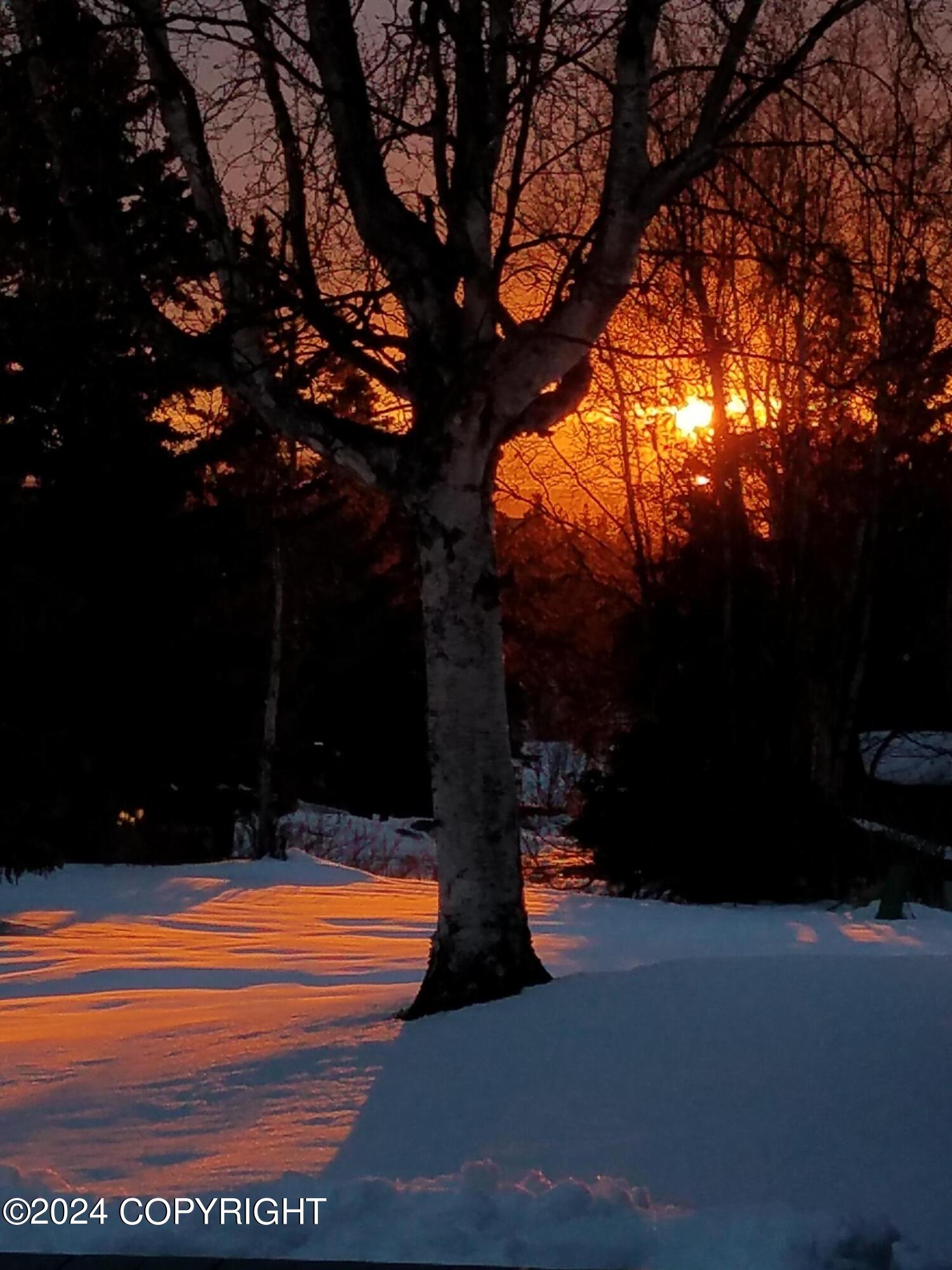 12336 Audubon Circle