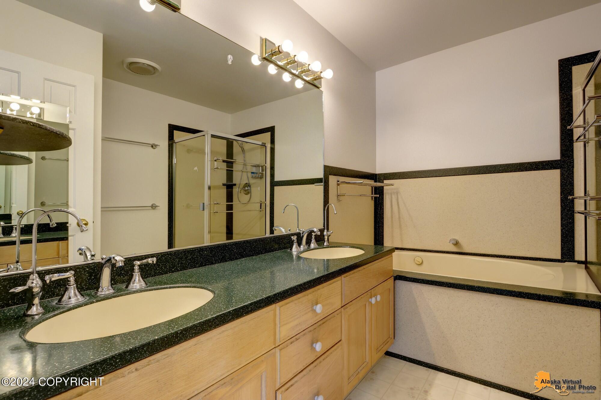 12530 Snowbird Drive